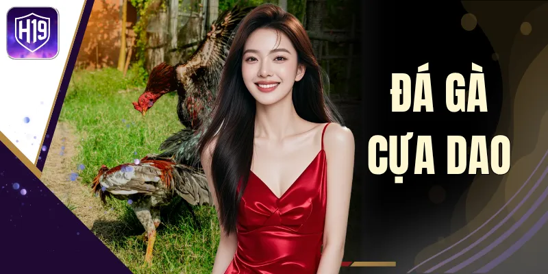 Đá Gà Cựa Dao - Quy Định Và Nguyên Tắc Ra Sới Mới Nhất