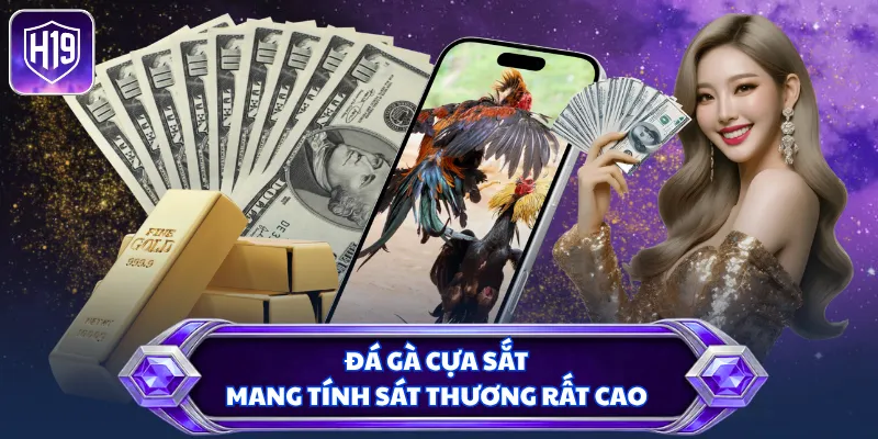 Đá gà cựa sắt mang tính sát thương rất cao