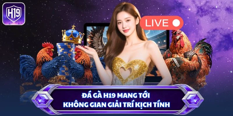 Đá gà H19 mang tới không gian giải trí kịch tính