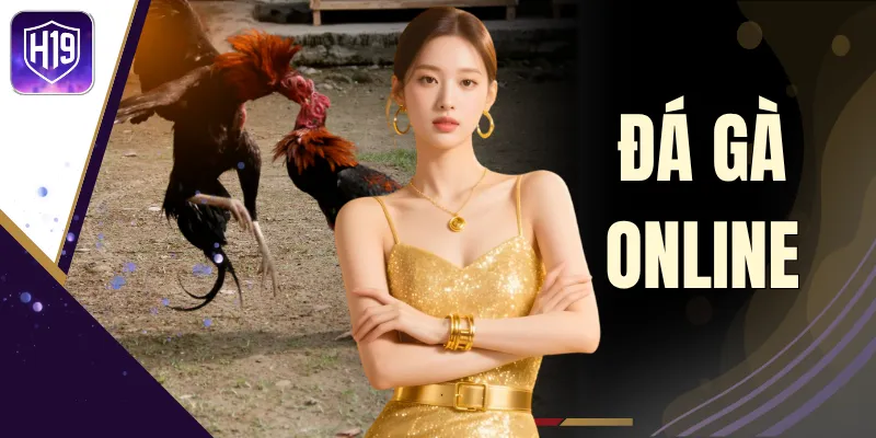 Đá Gà Online H19 Trực Tiếp Kê Chiến Cực Kịch Tính Mới Nhất
