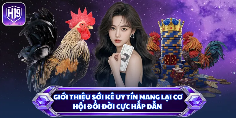 Giới thiệu sới kê uy tín mang lại cơ hội đổi đời cực hấp dẫn