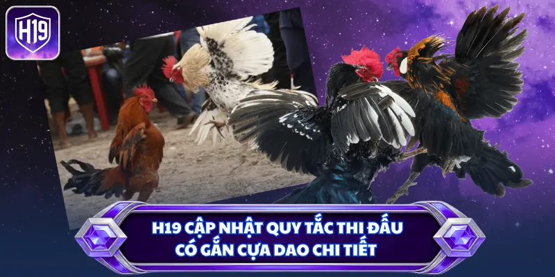 H19 cập nhật quy tắc thi đấu có gắn cựa dao chi tiết