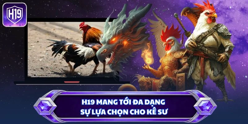 H19 mang tới đa dạng sự lựa chọn cho kê sư