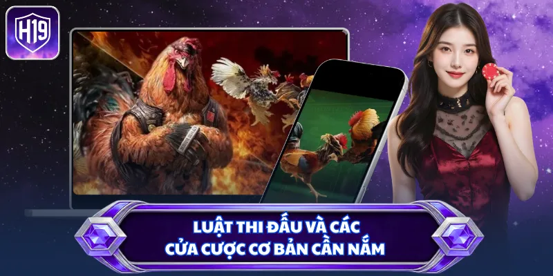 Luật thi đấu và các cửa cược cơ bản cần nắm
