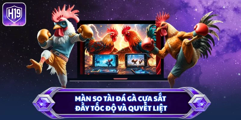 Màn so tài đá gà cựa sắt đầy tốc độ và quyết liệt