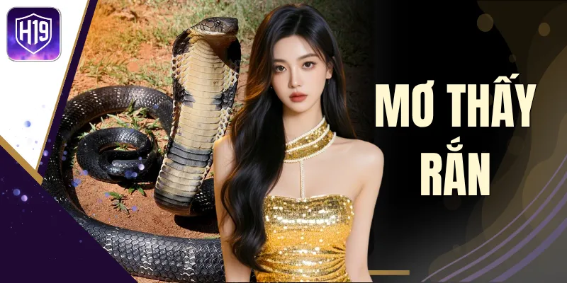 Mơ Thấy Rắn - Khi Tiềm Thức Lên Tiếng Cùng Đón Đầu Vận May