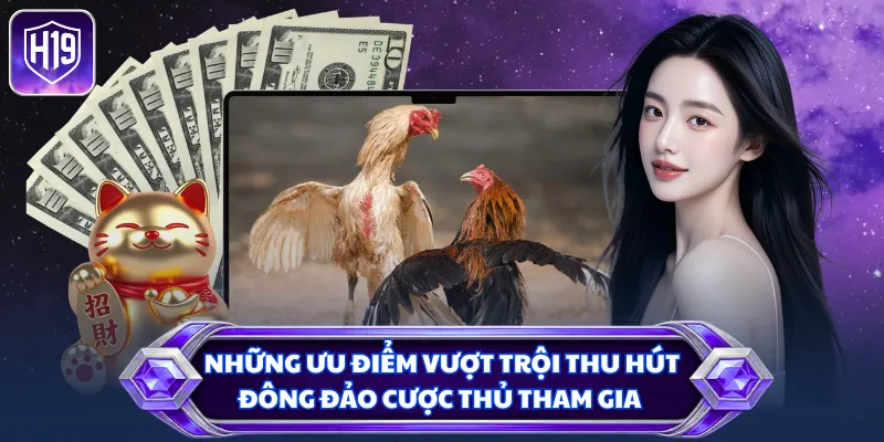Những ưu điểm vượt trội thu hút đông đảo cược thủ tham gia
