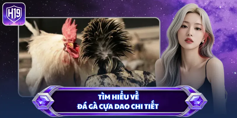 Tìm hiểu về đá gà cựa dao chi tiết