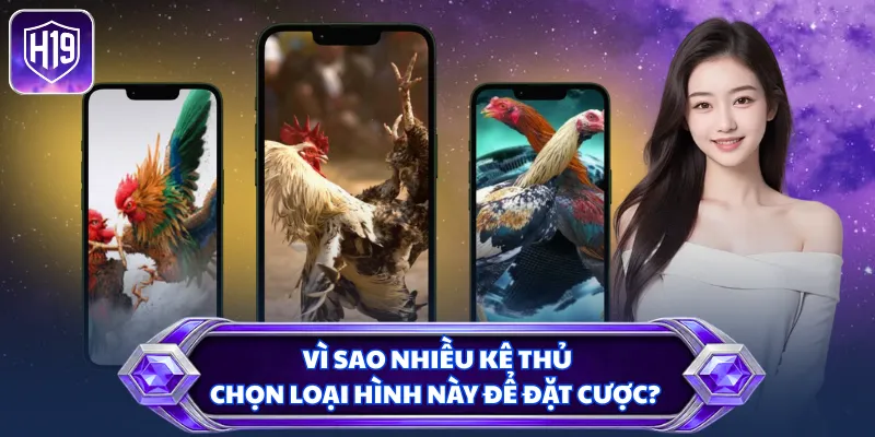 Vì sao nhiều kê thủ chọn loại hình này để đặt cược?